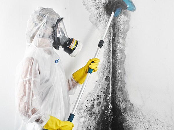 cleaning mold on a wall